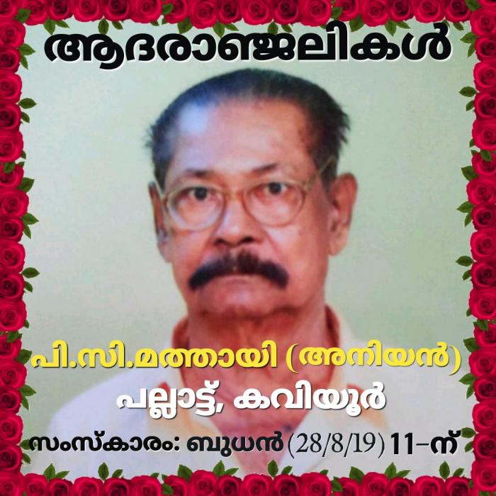 MR. P C MATHAI